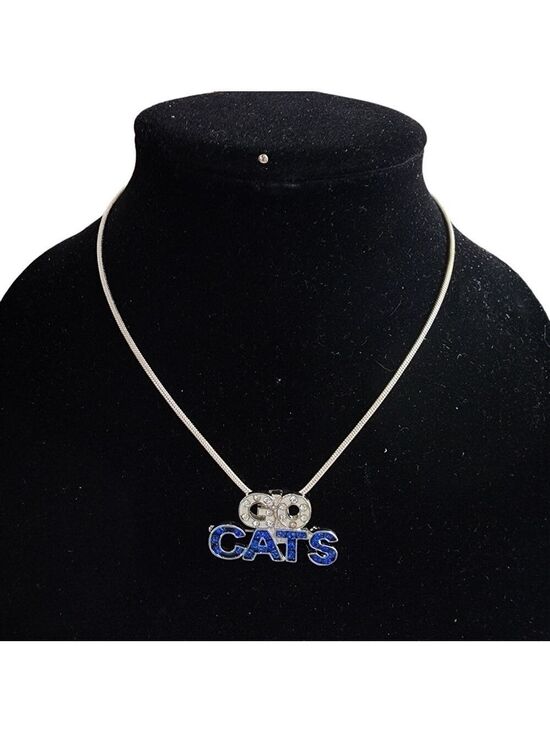 Jewelry - GO CATS bling Brooch pendant Silvertone necklace